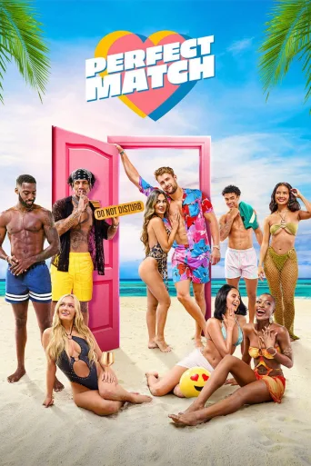 Mükemmel Bir Eş Arıyorum 1080p İndir posteri