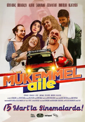 Mükemmel Aile İndir posteri