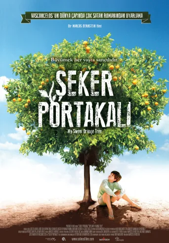 Şeker Portakalı İndir posteri