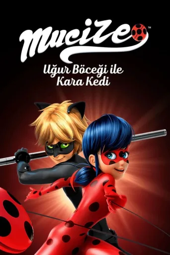 Mucize: Uğur Böceği ile Kara Kedi 1080p İndir posteri