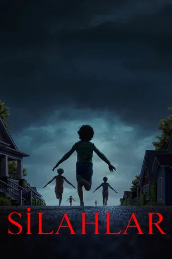 Silahlar İndir posteri