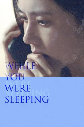 While You Were Sleeping İndir posteri