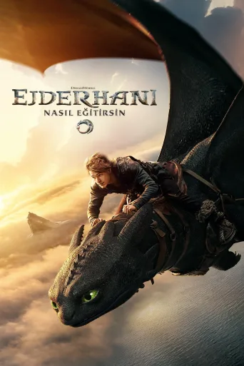 Ejderhanı Nasıl Eğitirsin İndir posteri