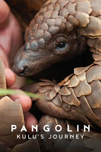 Pangolin: Kulu'nun Yolculuğu İndir posteri