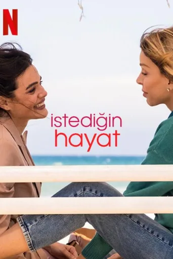 İstediğin Hayat 1080p İndir posteri