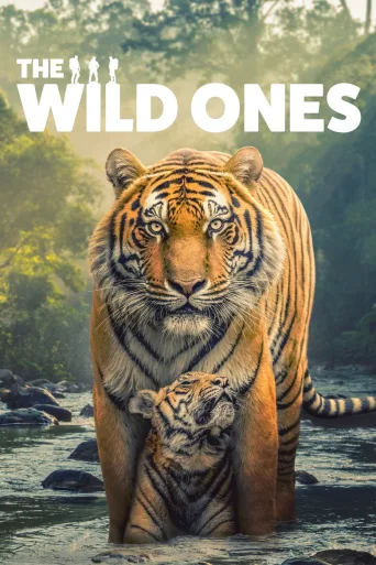 The Wild Ones 1080p İndir posteri
