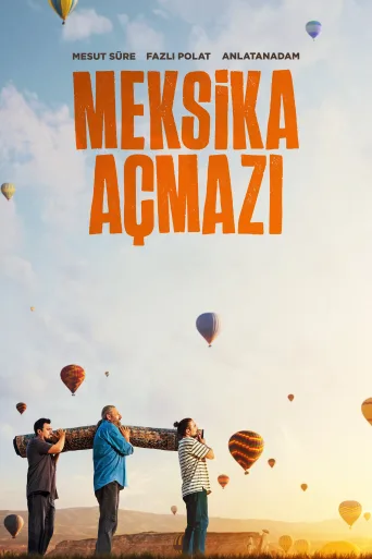 Meksika Açmazı İndir posteri