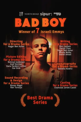 Bad Boy 1080p İndir posteri