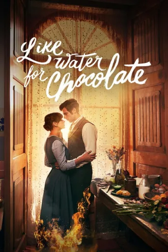 Like Water for Chocolate 1080p İndir posteri