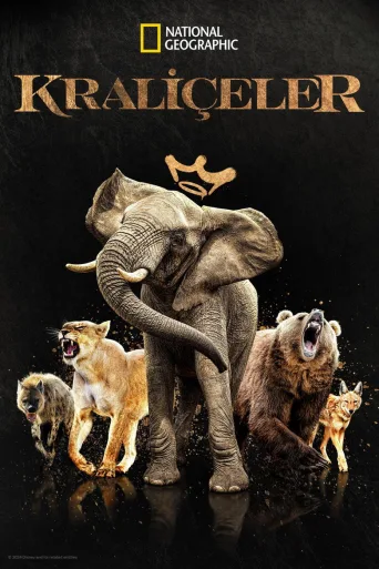 Kraliçeler 1080p İndir posteri