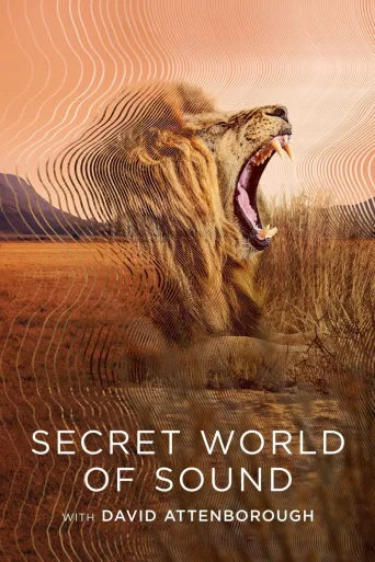 Secret World of Sound 1080p İndir posteri