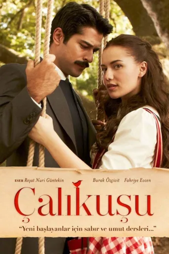 Çalıkuşu 1080p İndir posteri