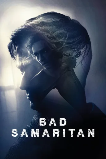 Kötü Samaritan İndir posteri