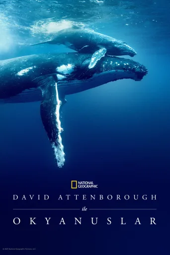David Attenborough ile Okyanuslar İndir posteri