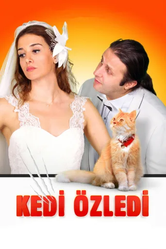 Kedi Özledi İndir posteri