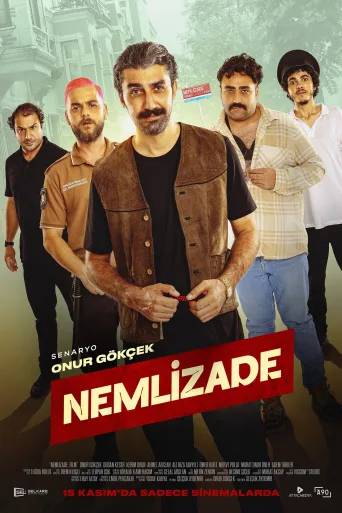 Nemlizade İndir posteri