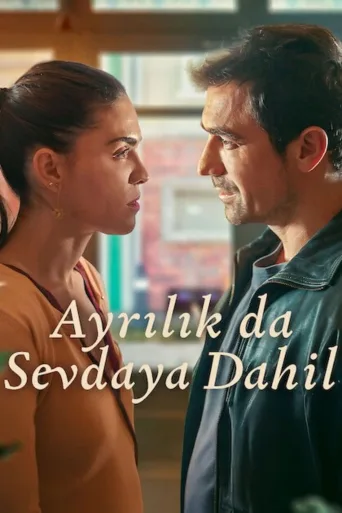 Ayrılık da Sevdaya Dahil 1080p İndir posteri