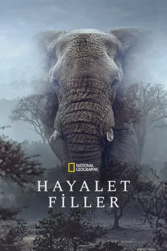 Hayalet Filler İndir posteri