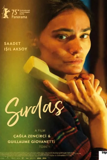 Sırdaş İndir posteri