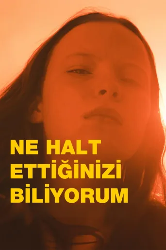 Ne Halt Ettiğinizi Biliyorum İndir posteri