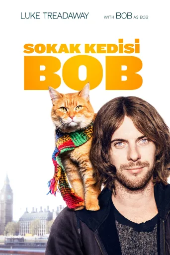 Sokak Kedisi Bob İndir posteri