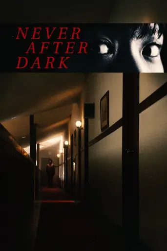 Never After Dark afişi