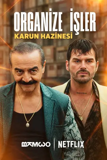 Organize İşler: Karun Hazinesi 1080p İndir