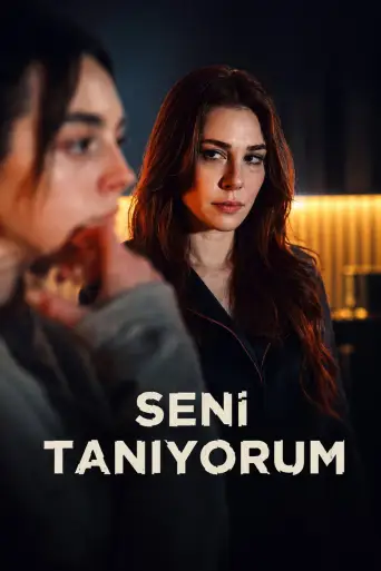 Seni Tanıyorum 1080p İndir posteri
