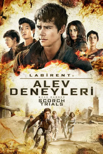 Labirent: Alev Deneyleri İndir posteri