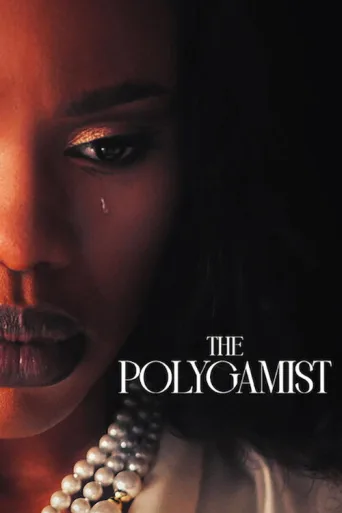 The Polygamist 1080p Dual İndir posteri