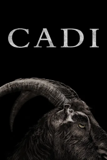 Cadı İndir posteri