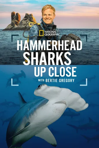 Hammerhead Sharks Up Close with Bertie Gregory İndir posteri
