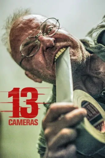 13 Cameras İndir posteri