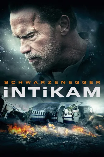 Akıbet İndir posteri