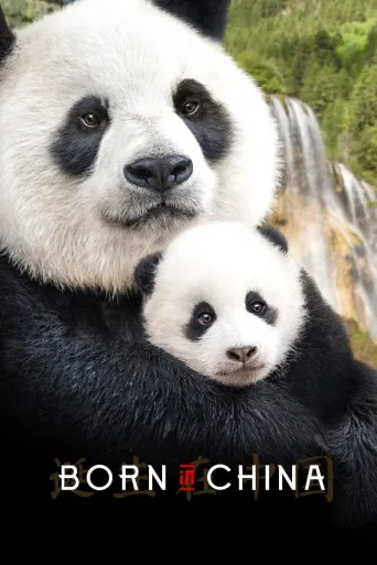 Born in China İndir posteri