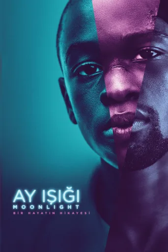 Ay Işığı İndir posteri