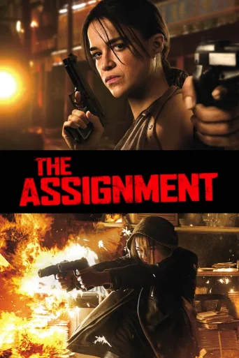 The Assignment İndir posteri