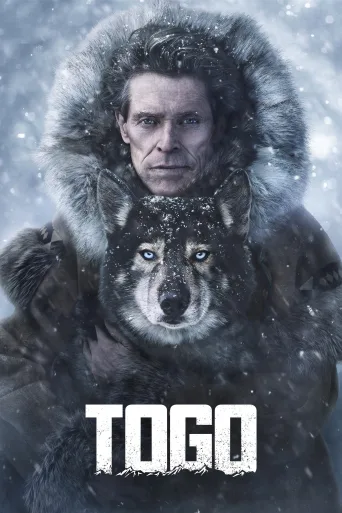 Togo İndir posteri