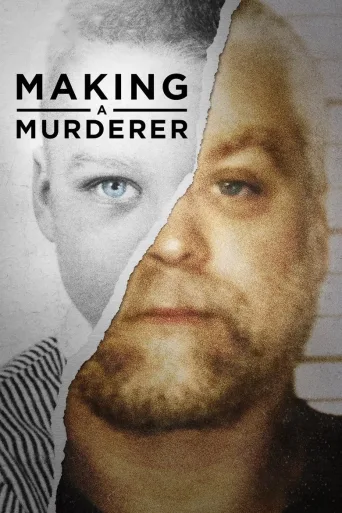 Making a Murderer 1080p İndir posteri