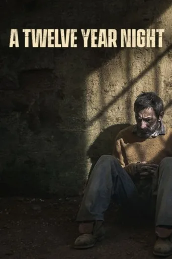 12 Yıllık Gece İndir posteri
