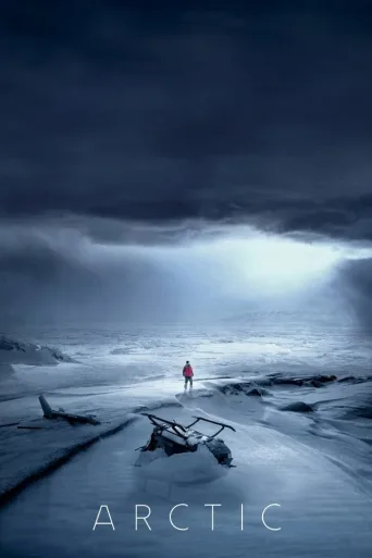 Arctic İndir posteri