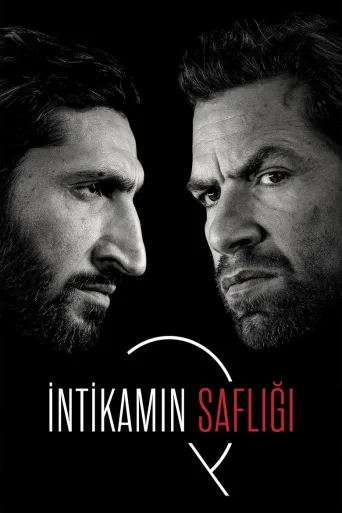 İntikamın Saflığı İndir posteri