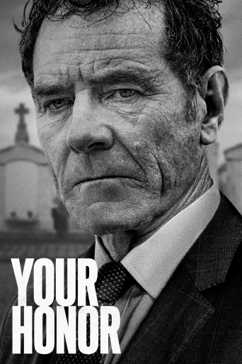 Sayın Yargıç İndir posteri