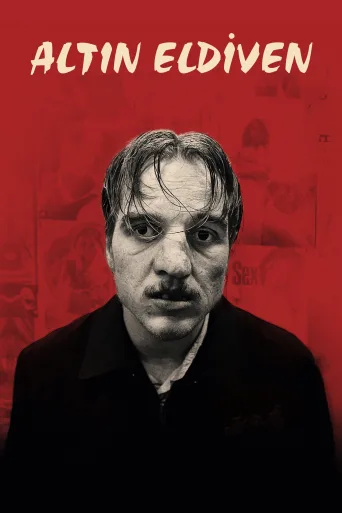 Altın Eldiven İndir posteri
