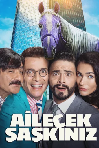 Ailecek Şaşkınız İndir posteri