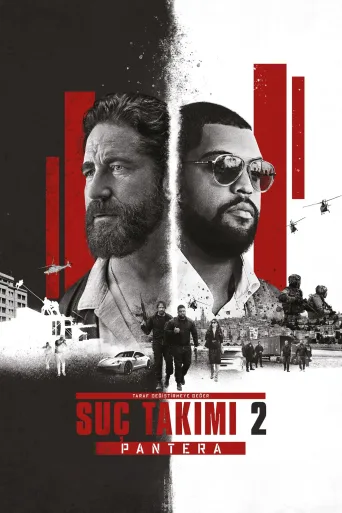 Suç Takımı 2: Pantera İndir posteri