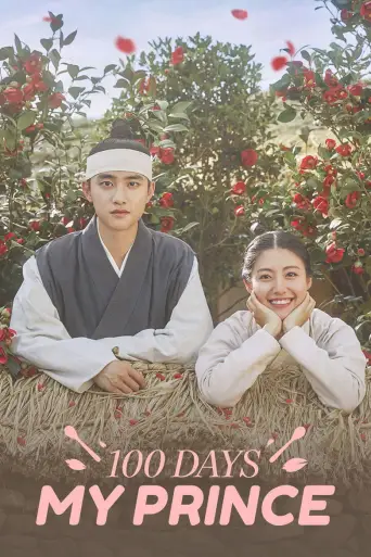 100 Days My Prince 1080p Altyazılı İndir posteri