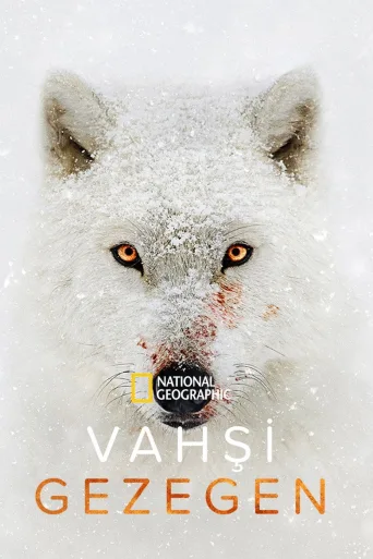 Vahşi Gezegen 1080p İndir posteri