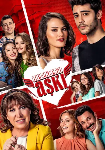 Meleklerin Aşkı 1080p İndir