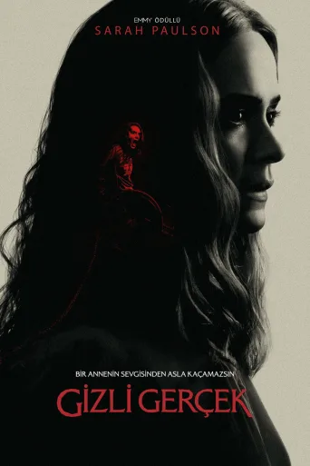 Gizli Gerçek İndir posteri
